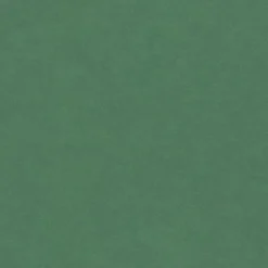 Produx Panneau médium teinté dans la masse Forescolor vert 80 x 40,5 cm, ép.5 mm