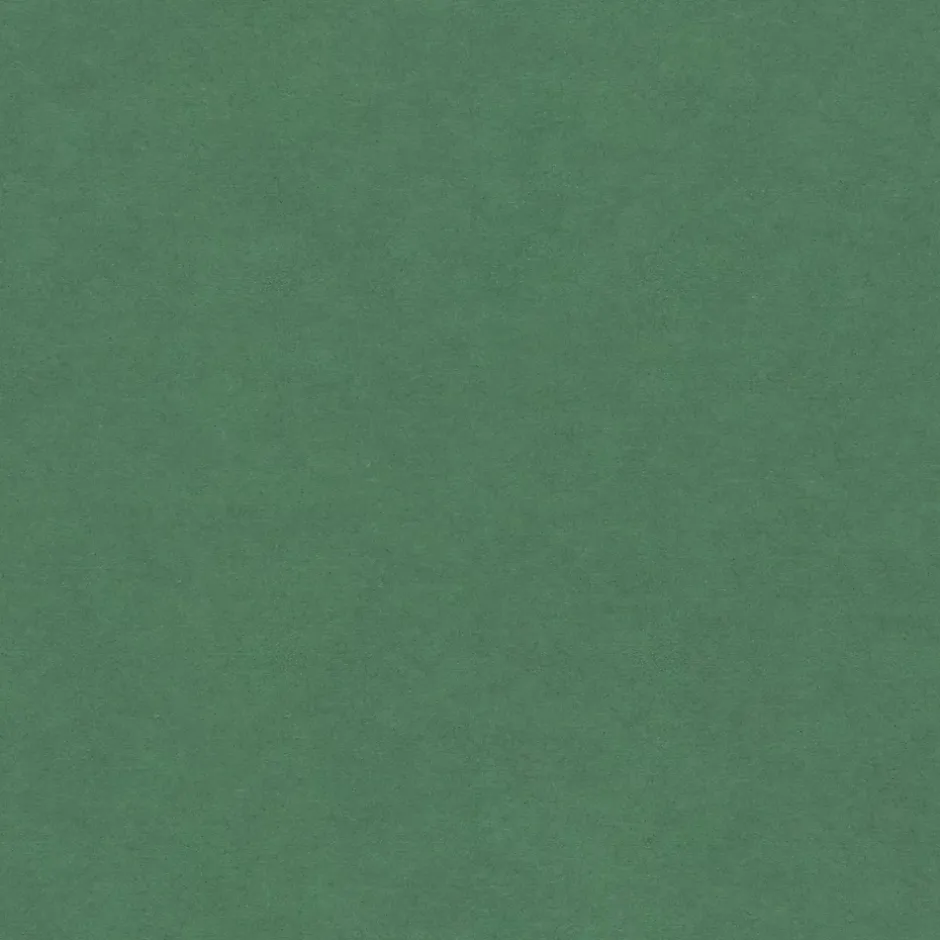 Panneau médium teinté dans la masse Forescolor vert 80 x 40,5 cm, ép.16 mm-Produx