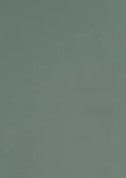 Panneau mélaminé Ninna prédécoupé vert olive 280X60X2.2cm