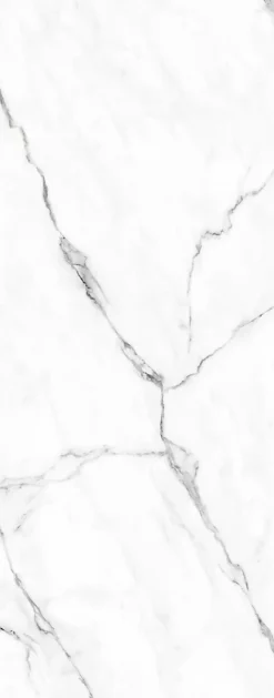 Schulte Panneau mural de salle de bains l.100 x H.255 cm, effet marbre de Carrare blanc brillant, DécoDesign Brio