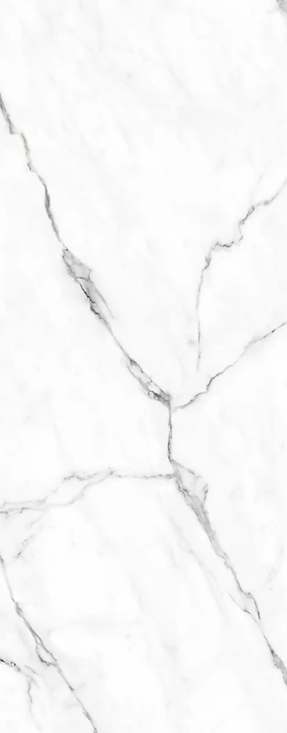 Schulte Panneau mural de salle de bains l.100 x H.255 cm, effet marbre de Carrare blanc brillant, DécoDesign Brio