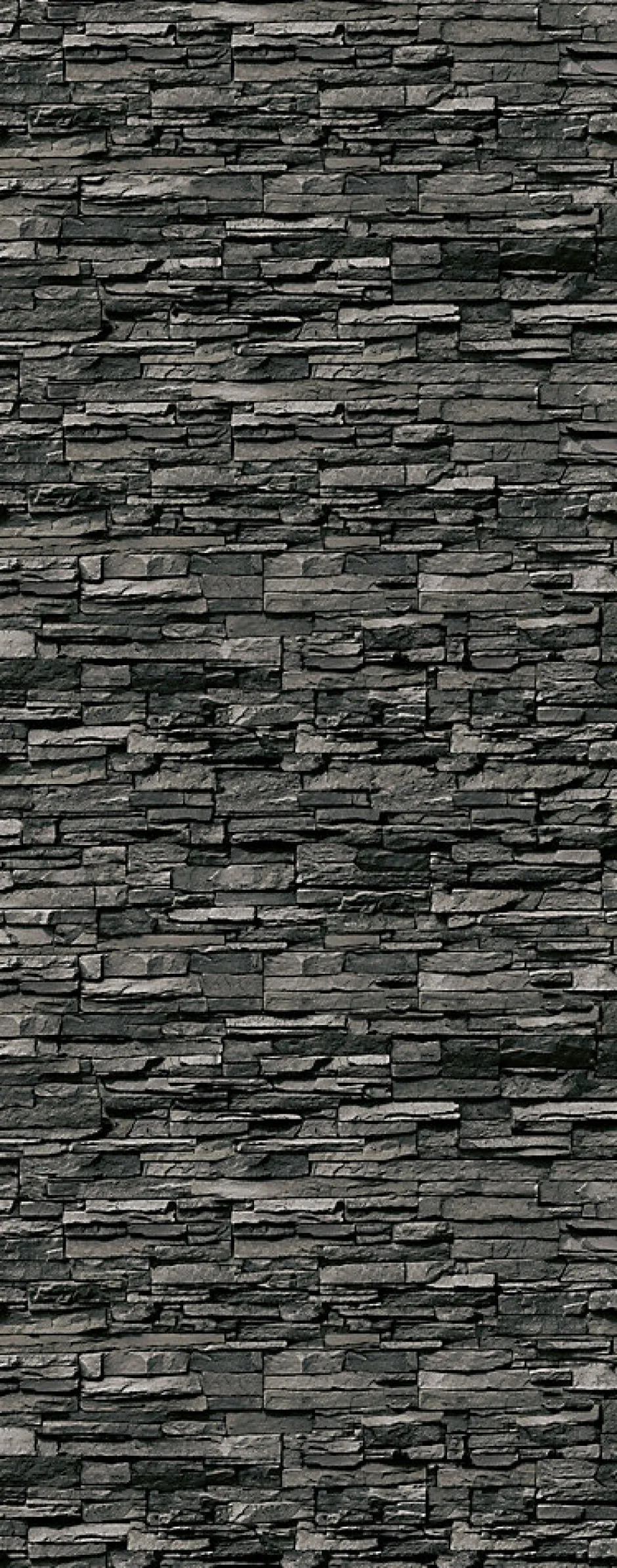 Schulte Panneau mural de salle de bains l.100x255 cm, décor parement ardoise, DécoDesign