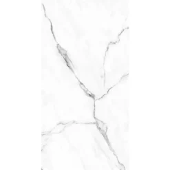 Schulte Panneau mural de salle de bain l.125 x H.255 cm, marbre blanc et gris, DécoDesign