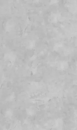 Schulte Panneau mural de salle de bains l.100x255 cm, décor béton Softtouch, DécoDesign