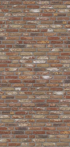 Schulte Panneau mural de salle de bains l.100 x H.210 cm, effet brique industrielle rouge, Décodesign vendu par 2