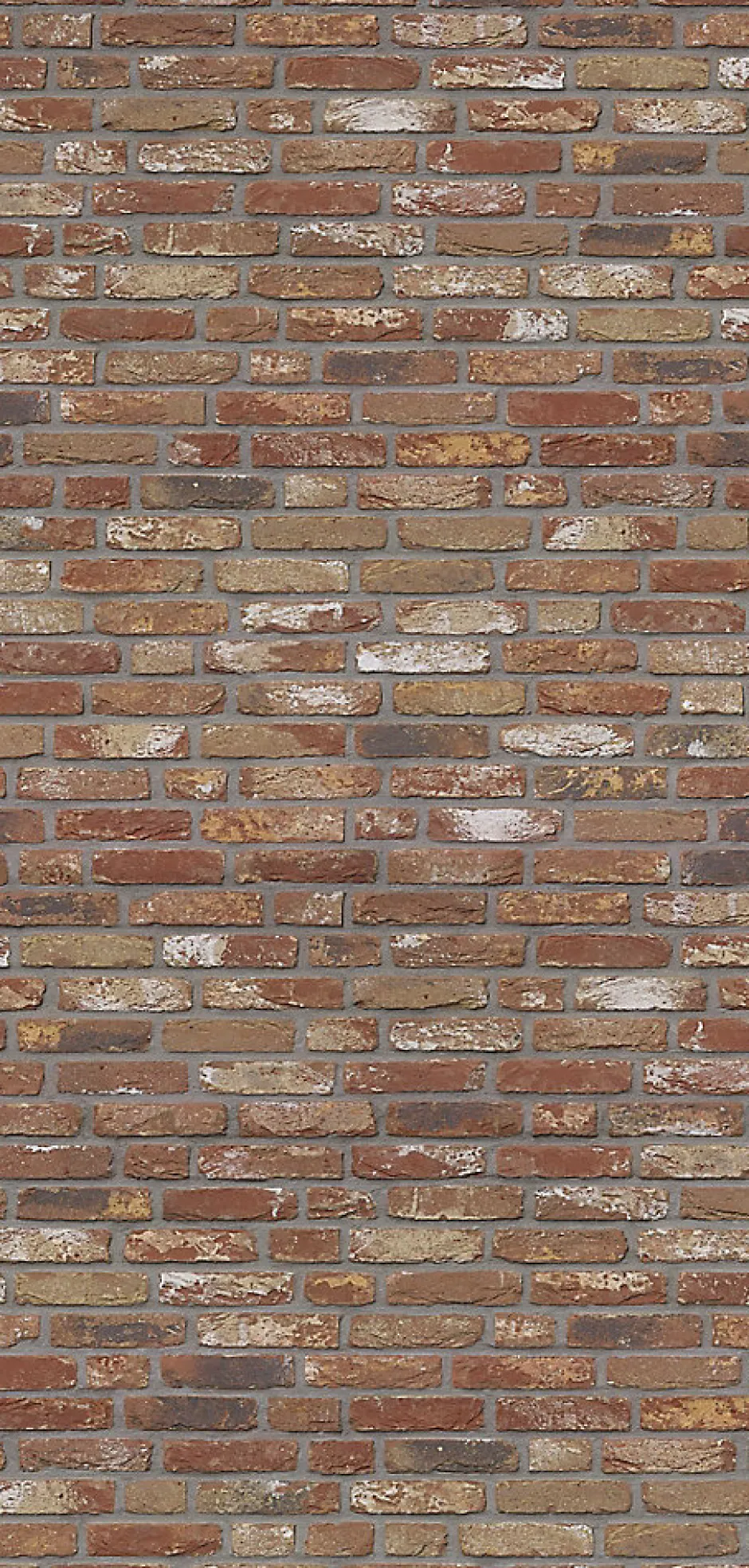 Schulte Panneau mural de salle de bains l.100 x H.210 cm, effet brique industrielle rouge, Décodesign vendu par 2