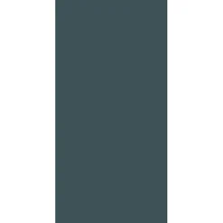 Schulte Panneau mural de salle de bains l.90 x H.210 cm, anthracite, DécoDesign Couleur