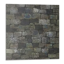 Wallfluent Panneau Mural TV 50x50 cm Texture De Mur En Pierre 4 pièces