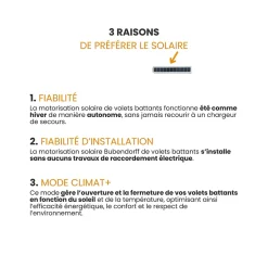 Panneau photovoltaïque noir pour volet battant solaire-Bubendorff New