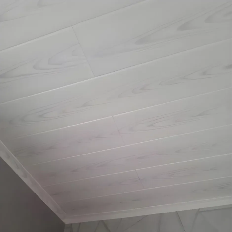 Deccart Panneaux de plafond et panneaux muraux Decoratif P02 20m² / 120pièces
