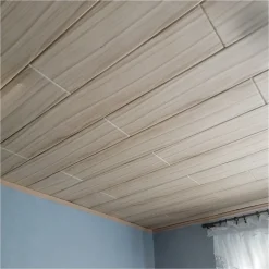 Deccart Panneaux de plafond et panneaux muraux Decoratif P12 2m² / 12pièces