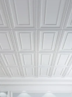 Deccart Panneaux de plafond et panneaux muraux Decoratif Rama Blanc 6m² / 12pièces