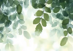 Wallarena Papier Peint Feuilles Vert Panoramique Intissé 350x250 cm - Colle Inclus - Moderne Papier Peint Intissé Chambre Salon