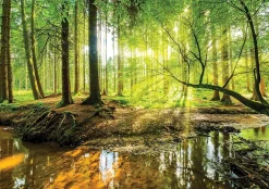 Wallarena Papier Peint Forêt Arbres Vert Nature Intissé Panoramique 350x250 cm - Colle Inclus - Chambre et Salon - Moderne Papier Peint