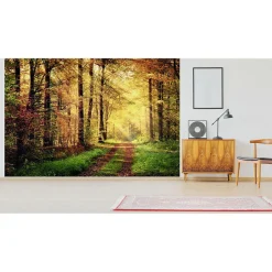 Scenolia Papier peint intissé AUTOMNAL forêt orangée 400 x 270 cm (LxH) - Tapisserie murale panoramique XXL, Made in France par