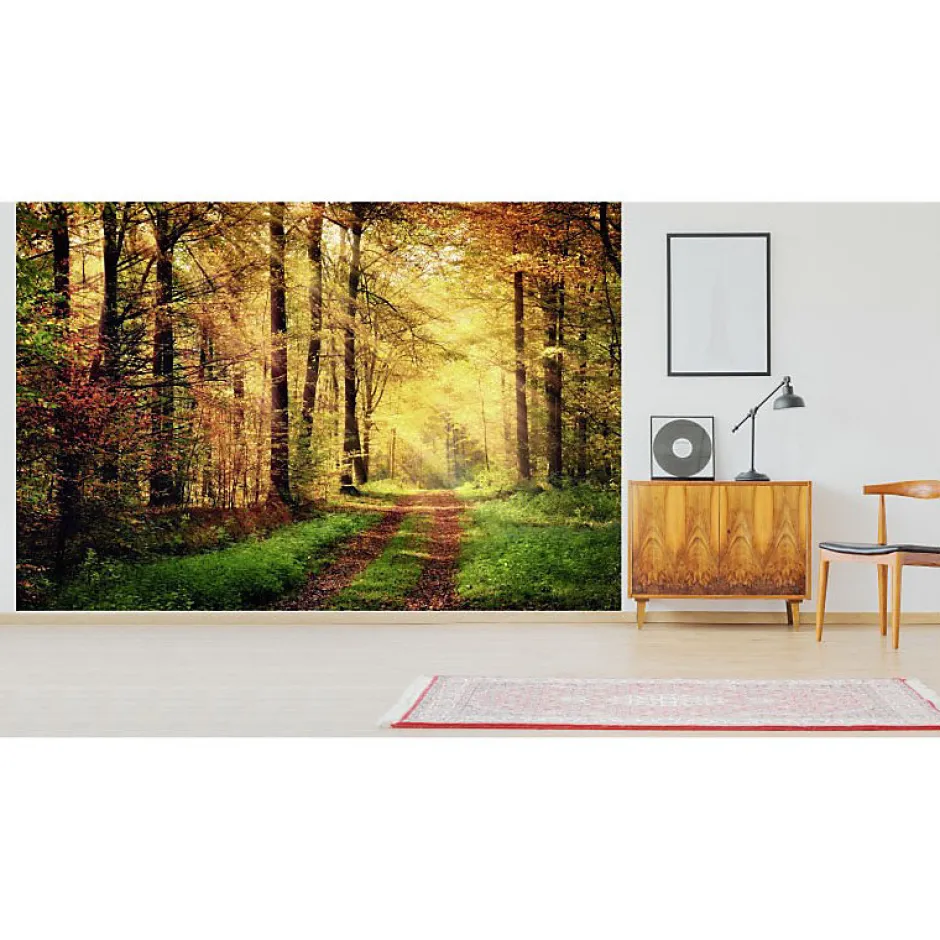 Scenolia Papier peint intissé AUTOMNAL forêt orangée 400 x 270 cm (LxH) - Tapisserie murale panoramique XXL, Made in France par