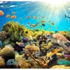 Papier peint intissé panoramique paysage underwater land 350x245 cm-Planete Discount Online