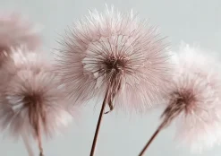 Papier Peint Intissé Panoramique Pour Chambre Cuisine Gonflables Boho 350x250 cm-Wallarena New