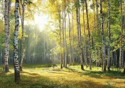 Wallarena Papier Peint Intissé Panoramique Pour Chambre Cuisine 3D Forêt Vert 400x280