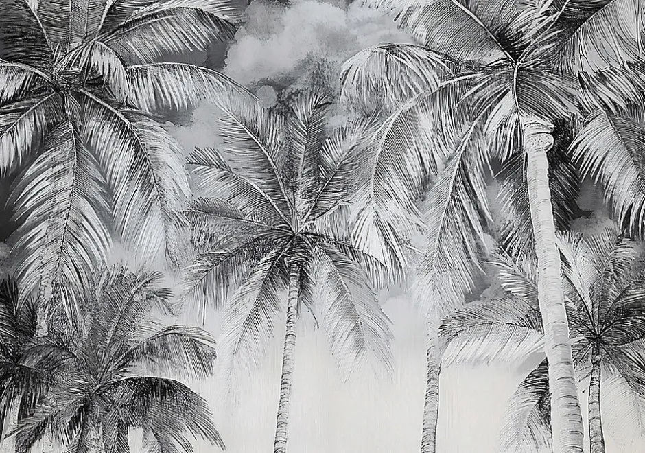 Papier Peint Noir et blanc Palmiers Panoramique Intissé 300x210 cm - Colle Inclus - Moderne XXL Papier Peint por Chambre Salon-Wallarena Hot