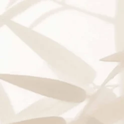 Papier peint panoramique Ombres bambous, Beige 150 x 250cm-Acte Déco Discount