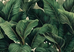 Papier Peint Panoramique Intissé Feuilles Jungle Vert - 350x250 cm - Papier Peint Chambre et salon-Wallarena