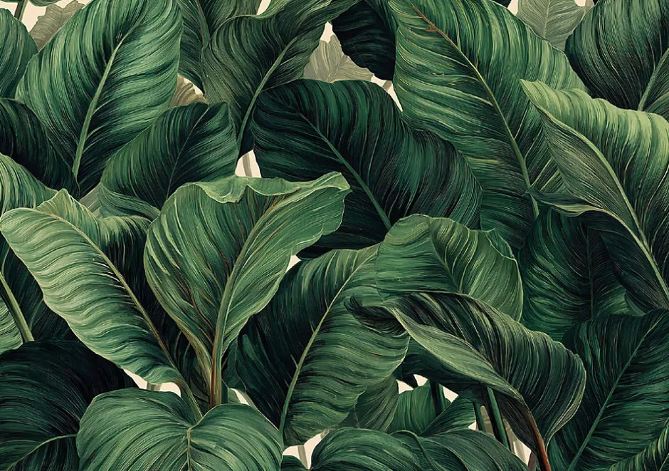 Papier Peint Panoramique Intissé Feuilles Jungle Vert - 350x250 cm - Papier Peint Chambre et salon-Wallarena