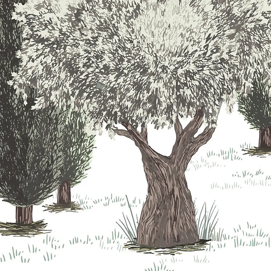 99DECO Papier peint panoramique - Tivoli - Vert - intissé : 150g/m² - 7 lés : 336x270cm