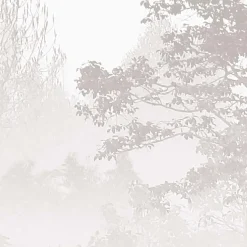 Acte Déco Papier peint panoramique Brumes matinales, Beige 300 x 250cm