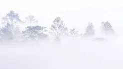 Acte Déco Papier peint panoramique Brumes matinales, Bleu 150 x 250cm