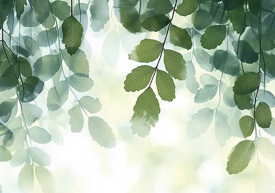 Wallarena Papier Peint Panoramique Intissé Feuilles Vert 400x280 cm - Colle Inclus - Moderne Papier Peint Intissé Chambre Salon