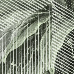 GoodHome Papier peint panoramique Intissé Tanan vert pâle 184 x 248 cm