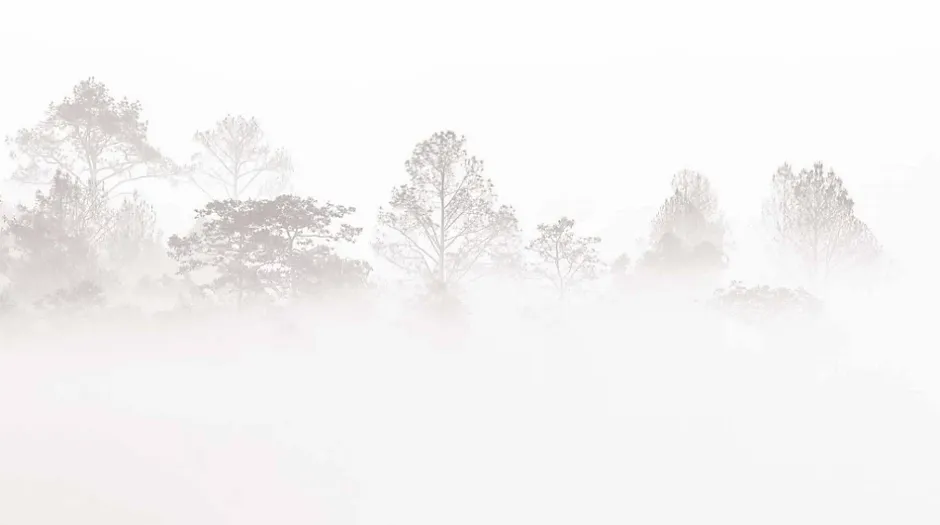 Acte Déco Papier peint panoramique Brumes matinales, Beige 375 x 250cm