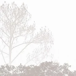 Acte Déco Papier peint panoramique Brumes matinales, Beige 375 x 250cm