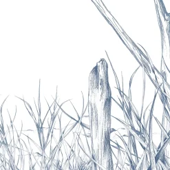 Papier peint panoramique Côtes Sauvages, Bleu 300 x 250cm-Acte Déco Discount