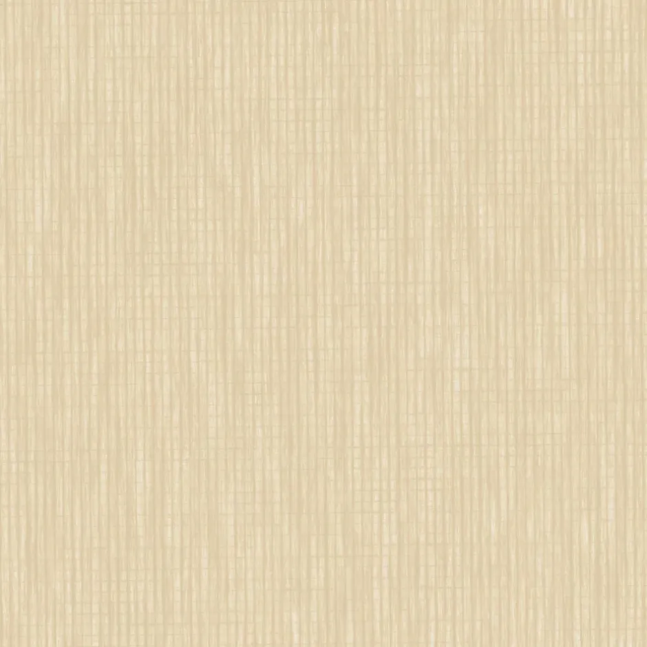 Papier peint vinyle intissé Les aventures latte uni beige doré L.1005 x l.53cm Lutèce-Lutece