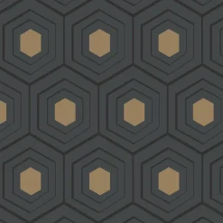 GoodHome Papier peint Vinyle Intissé Draba noir