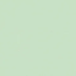 Papier peint vinyle intissé uni vert L.1005 x l.53 cm Aune-GoodHome Discount