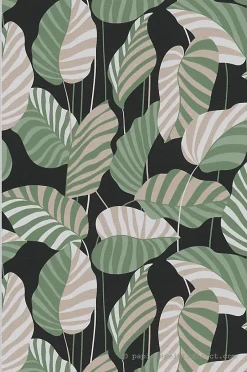 A.S. Creation Papier peint vinyle sur intissé Jungle L.10.05 x l.0.53 m. - Réf. SP15944