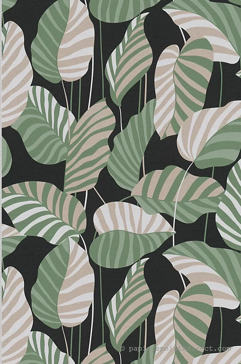 A.S. Creation Papier peint vinyle sur intissé Jungle L.10.05 x l.0.53 m. - Réf. SP15944