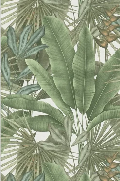 Papier peint vinyle sur intissé Jungle L.10.05 x l.0.53 m. - Réf. AS-396472-A.S. Creation Clearance