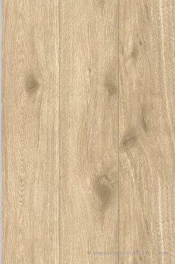 Papier peint vinyle sur intissé Trompe l'oeil L.10.05 x l.0.53 m. - Réf. AS-300434-A.S. Creation Online