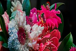 Mauro Ferretti Peinture sur toile laquée avec cadre 52x4x102 cm