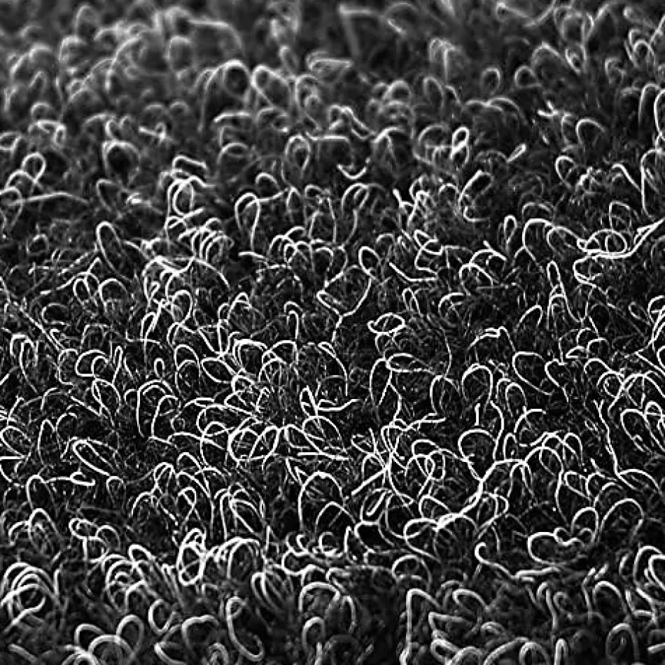 Floordirekt Pelouse synthétique Farbwunder Pro Noir 133 x 300 cm