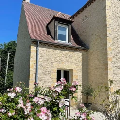 Ro'Ma Nature Pierre de parement extérieur Province ton doré (lot de 1,32 m²) -