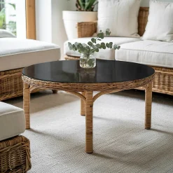 Plateau en verre trempé fi100 cm Couleur noire lisse-Tulup