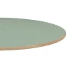 Plateau rond 120cm couleur vert celadon chants imitation bois --Restootab