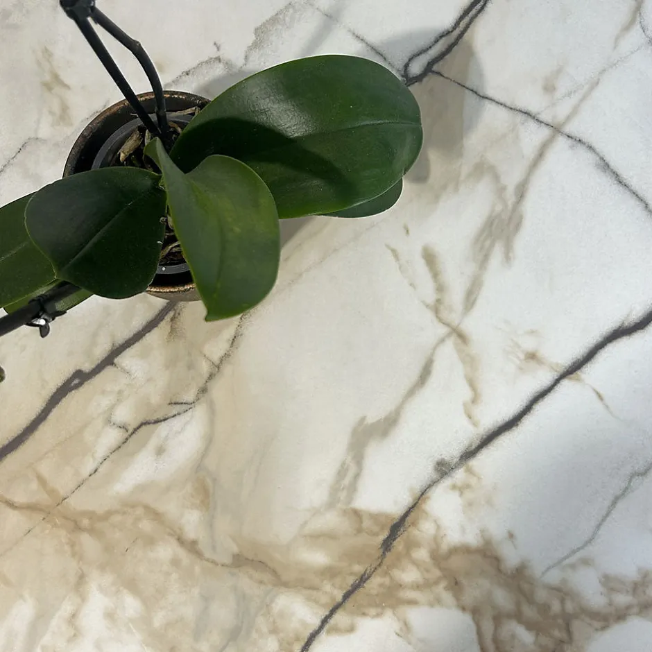 Plateau rond 70cm decor marbre calcuta --Restootab New