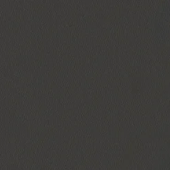 Reivilo Plinthes assorties pour bloc-porte Premium aspect cuir basalte