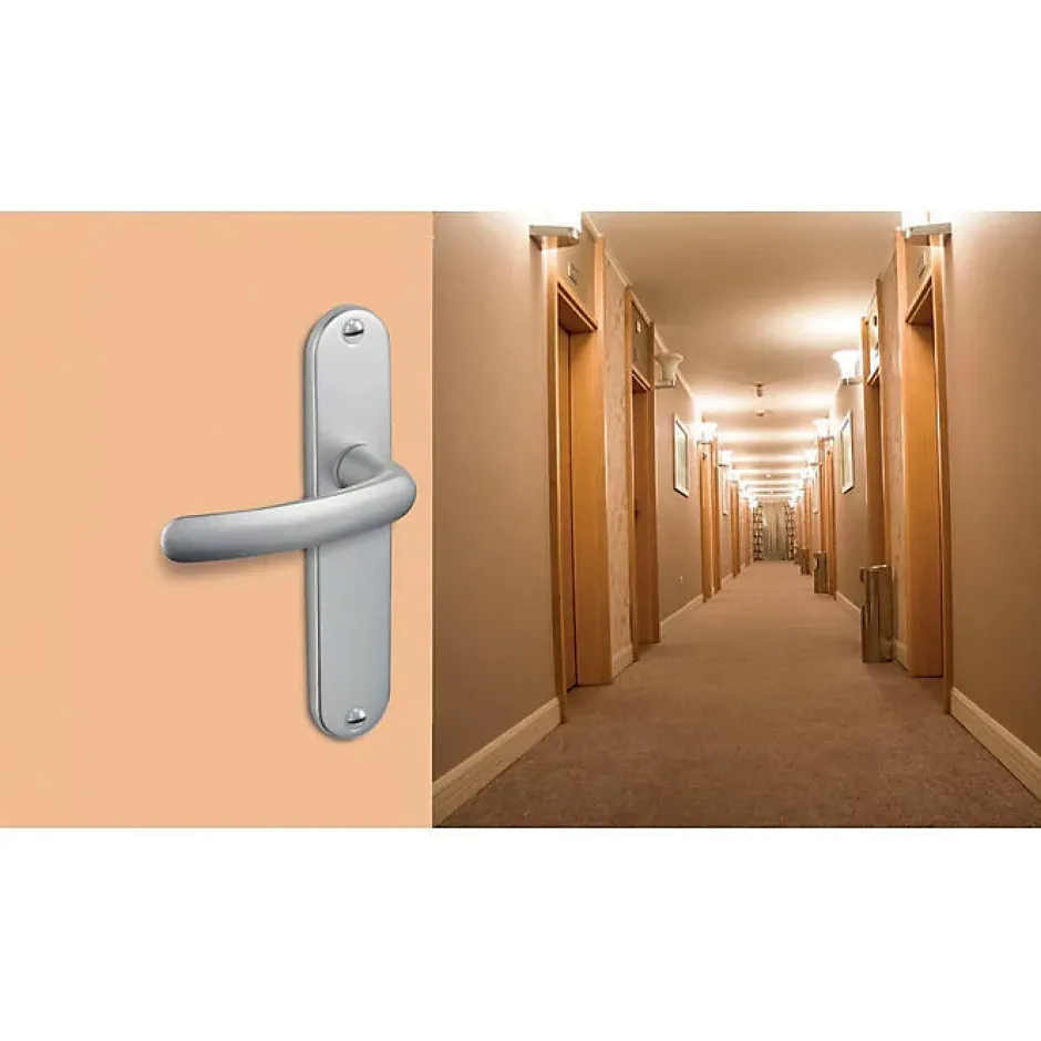 Vachette Poignée de porte intérieure - Budget - - Gris argent - Clé L - 165 mm